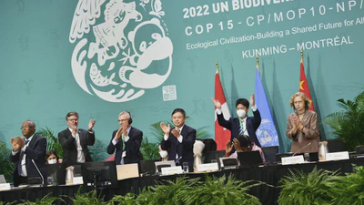 GIEC, IPBES, COP... :  understanding the institutions and indicators of environmental transition featured image