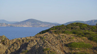 Evocentric conservation in protected areas: a pioneering strategy in the Port-Cros National Parc. featured image