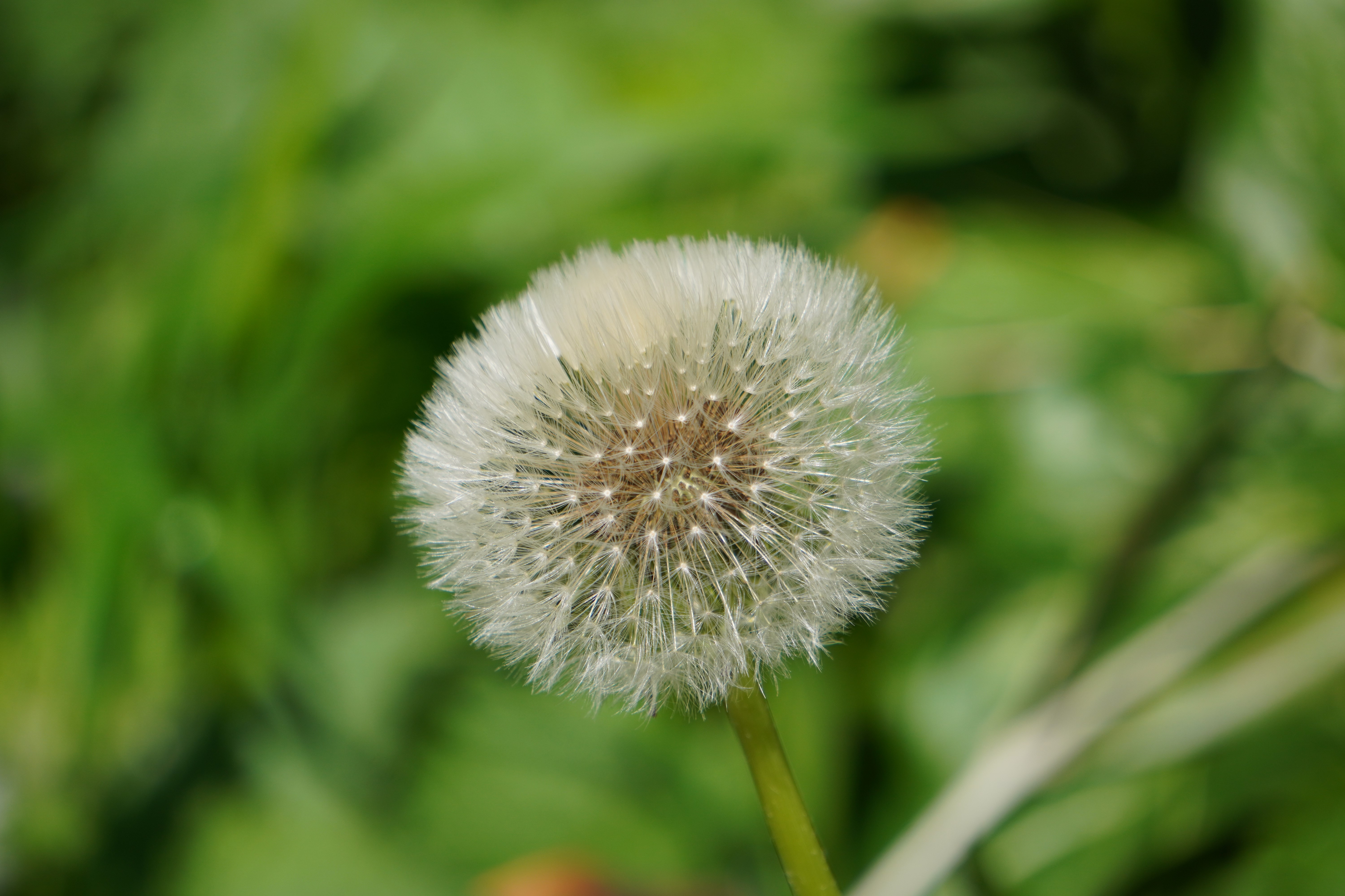 DSC07850.JPG